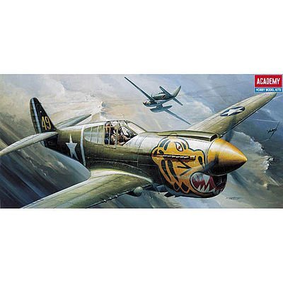 1/72 P-40E WARHAWK no.12468