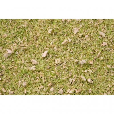 Noch 07075 Alpská pastvina 50g
