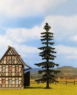 Noch 21905 Jedle 15cm vysoká