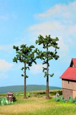 2 Borovice