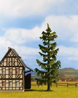 Noch 21955 Smrk 15cm