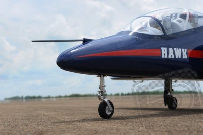 JDF02 Sea Hawk 1600mm 1:6,25 EDF120mm
