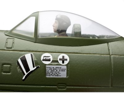 P-47D Thunderbolt BNF Basic