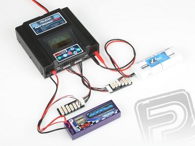 RAYTRONIC C60-1000 nabíječ NEW 1000W