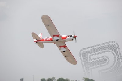 PH122 Ryan STA 1800mm 1:5 ARF