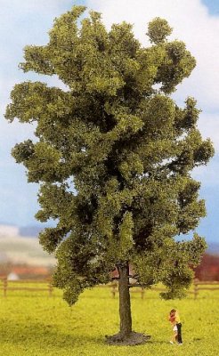 Noch 25880 Lípa 18,5cm