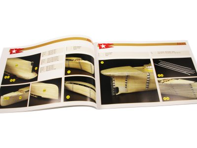 AMATI R.M.S. Titanic 1:250 kit