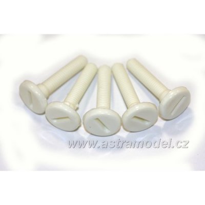 Šroub nylon válcová hlava M6x30 (5)