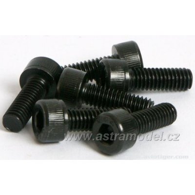 M5 - šroub 4x12mm (6)