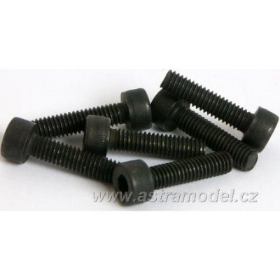 M5 - šroub 4x16mm (6)