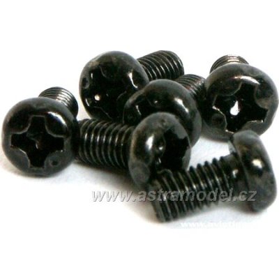 M5 - šroub 3x6mm (6)