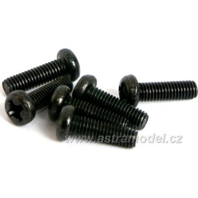 M5 - šroub 3x10mm (6)
