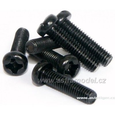 M5 - šroub 3x12mm (6)