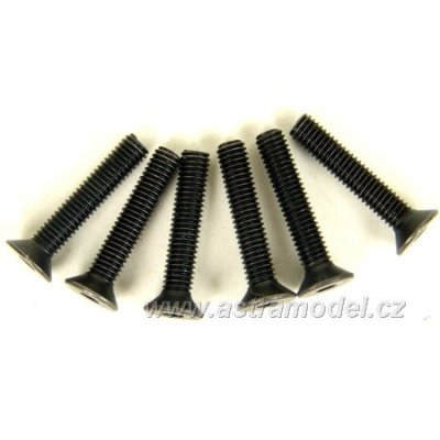 CEN - Šroub Flat Head 3x16 (6)