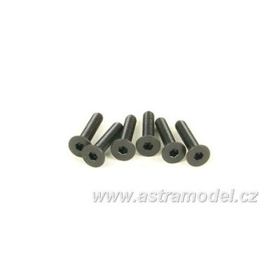CEN - Šroub Flat Head 4x20 (6)