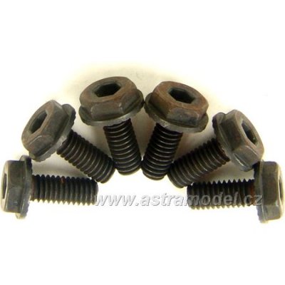 CEN - Šroub Flange Hex Head 4x10 (6)