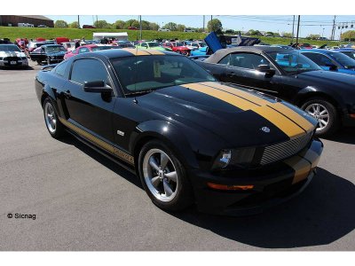 Revell Ford Shelby GT-H 2006 (1:25)