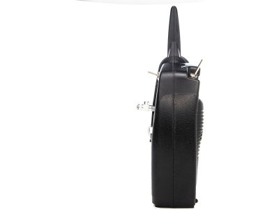 Spektrum DXs DSMX, AR410