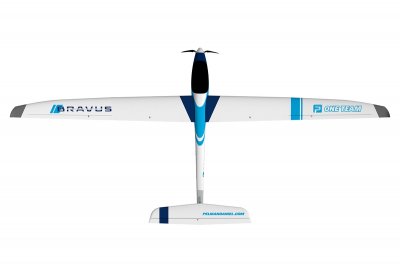 RC model BRAVUS 2400mm ARF