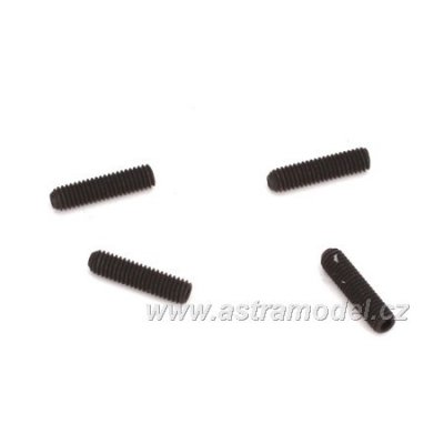 ECX Červík M3x12mm (4)