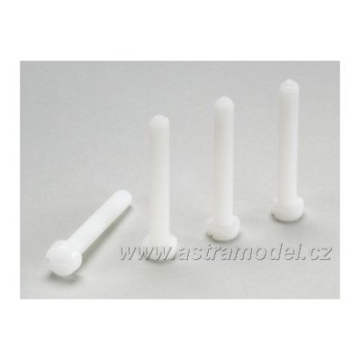 Šroub válcová hlava M4x10 nylon (5)
