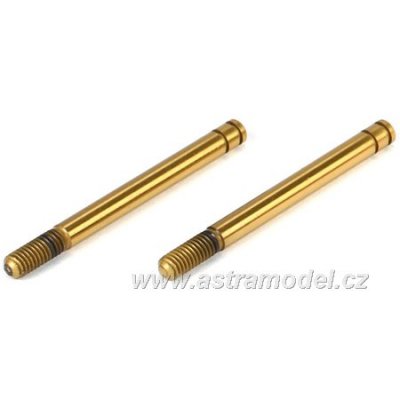 Losi pístnice předních tlumičů TiN (2): Mini 8IGHT
