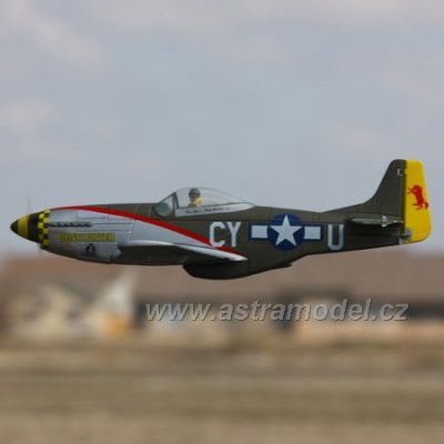 P-51D Mustang Gunfighter 1.0m ARF