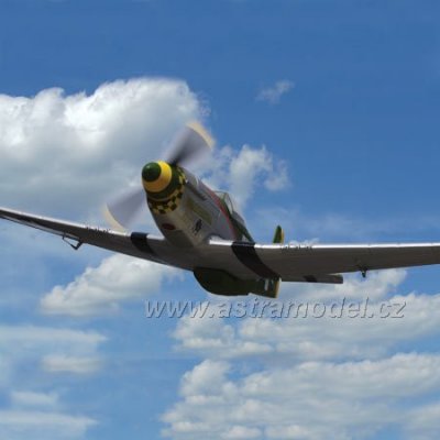 P-51D Mustang Gunfighter 1.0m ARF
