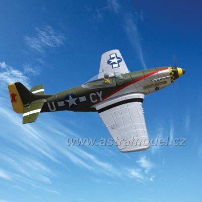 P-51D Mustang Gunfighter 1.0m ARF