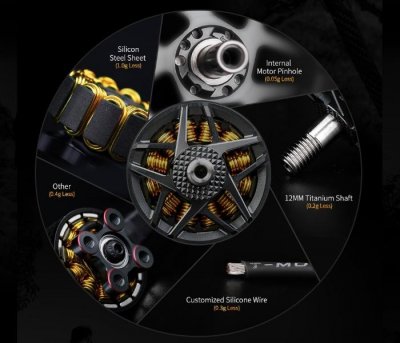 T-motor F60 Pro IV FPV Racing Motor (KV1950)