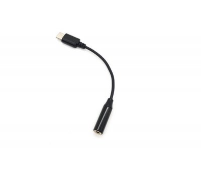 Insta360 ONE X2 - Audio adapter