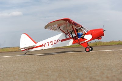 PH114 PA-18 Super Cub 2730mm 1:4 ARF
