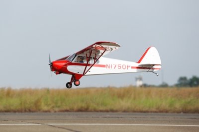 PH114 PA-18 Super Cub 2730mm 1:4 ARF