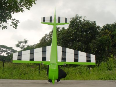 Edge 540 scale 30% (2 200 mm) 50cc (zeleno/bílá)