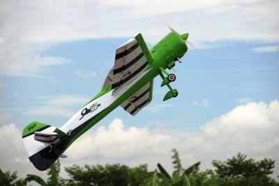 73" Yak 55M scale 22% (1 850 mm) 30ccm (zeleno/bílá)