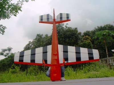 107" Yak 55M scale 33% (2 700 mm) 100ccm (červeno/bílá)
