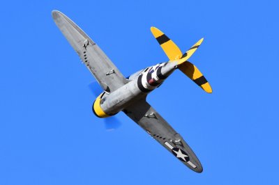 65" P-47 Easy Angels - 1,65m