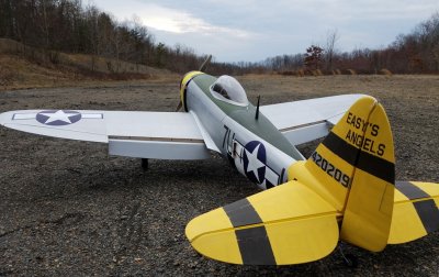 65" P-47 Easy Angels - 1,65m