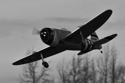 65" P-47 Easy Angels - 1,65m