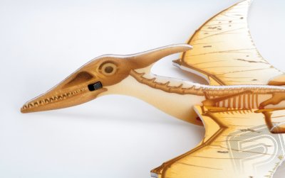 Pteranodon házedlo