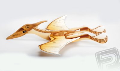 Pteranodon házedlo