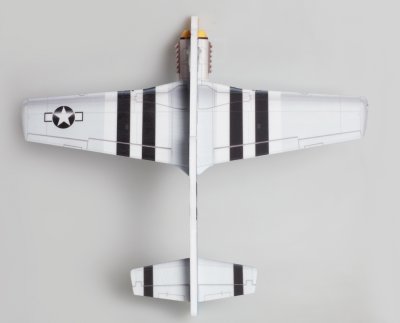 P51 Mustang Lousiana Kid