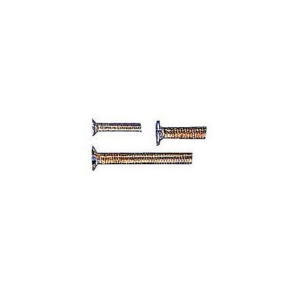 Šroub se zápustnou hlavou M2,5x4mm, 20 ks.