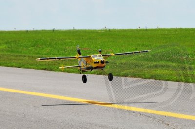84" Turbo Bushmaster - Žlutá/Černá 2,13m