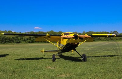 84" Turbo Bushmaster - Žlutá/Černá 2,13m