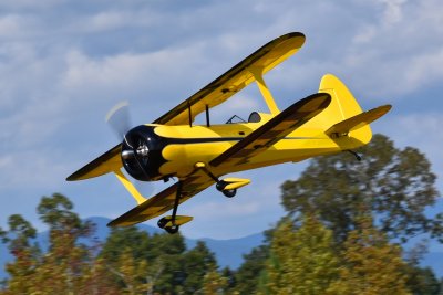 85" Muscle Bipe - Žlutá/Černá 2,16m