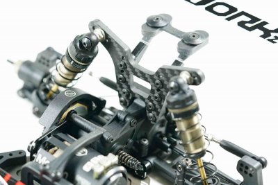 SWORKz S12-2C “Carpet” 1/10 2WD Off-Road Racing Buggy PRO stavebnice