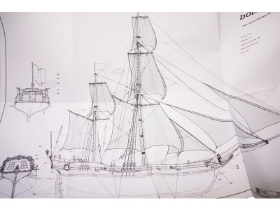 COREL Dolphyn 1750 1:50 kit